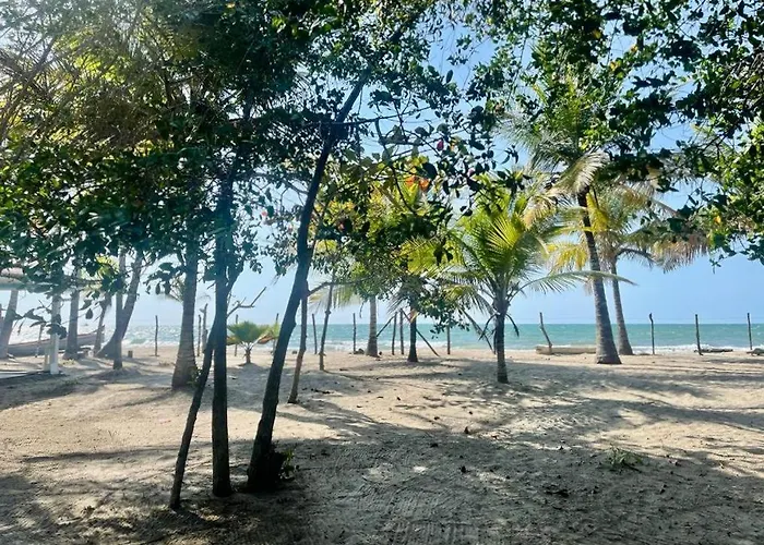 Casa Manglar