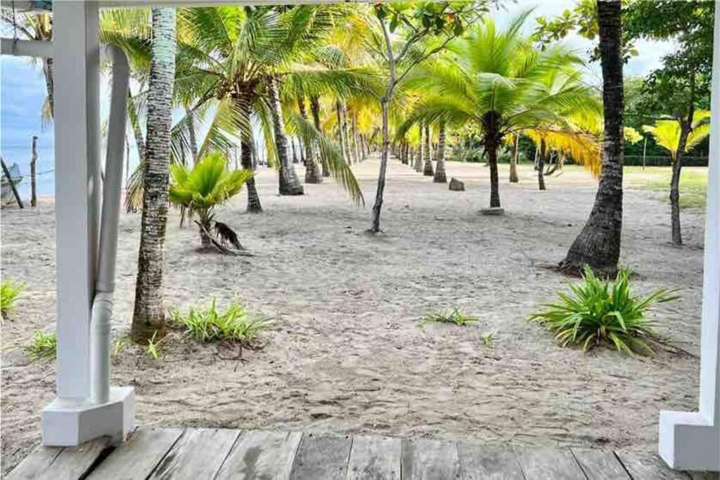 Ferienhaus Casa Manglar